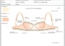 Design Lingerie Loungewear Sleepwear Advanced Tech Packs By